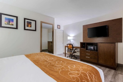 Comfort Suites At Sabino Canyon image 18