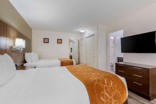 Comfort Suites At Sabino Canyon image 4