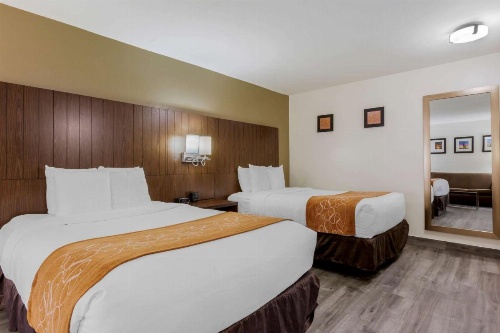 Comfort Suites At Sabino Canyon image 7